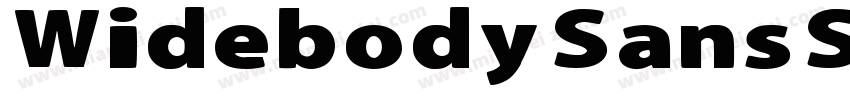 Widebody Sans Super字体转换